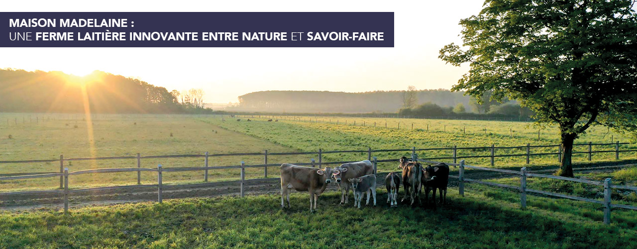 Maison Madelaine : une ferme laitière innovante entre nature et savoir-faire