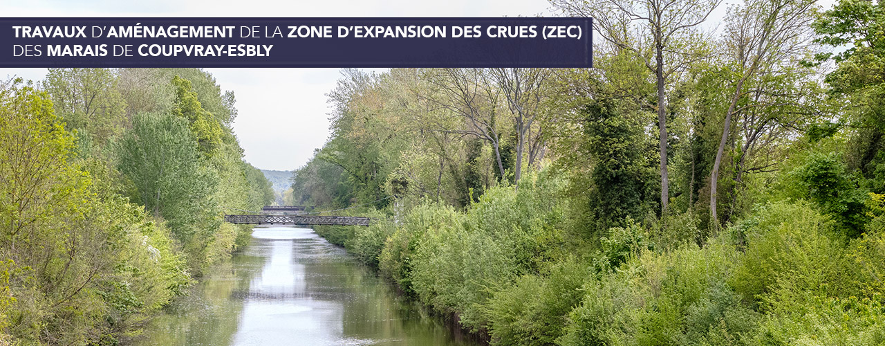 L’aménagement de la Zone d’Expansion des crues des marais de Coupvray-Esbly est en cours